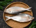 রয়্যাল পদ্মার ইলিশ || Royal Padma Hilsa