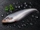 Pabda Fish